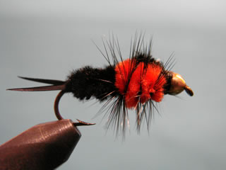 Orange Bead Head Montana (8-10)